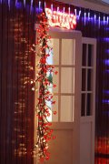 FY-50022 рождества С FY-50022 дешевые светодиодные новогодние елки филиал небольшие светодиодные фонари Лампа - Светодиодные ветви дерева manufacturer In China