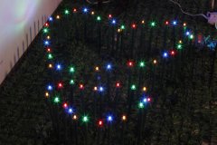 FY-50024 рождества СИД ветви дерева небольшие светодиодные фонари Лампа FY-50024 дешевые светодиодные новогодние елки филиал небольшие светодиодные фонари Лампа